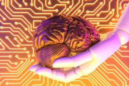 Американские ученые предложили создать биокомпьютер с клетками человеческого мозга