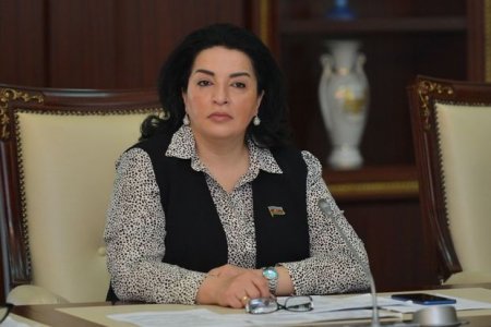 Fatma Yıldırım: “Havadarları Ermənistanı silahlandırmaqla regionda sülhün bərqərar olmasına qarşı çıxırlar”