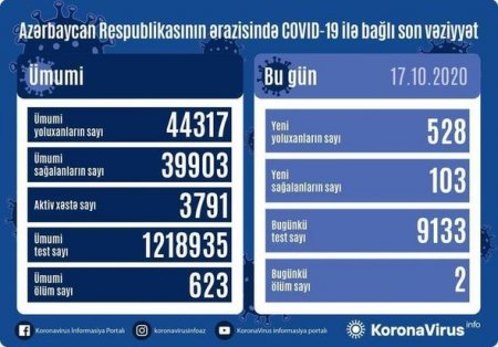 Azərbaycanda sutka ərzində daha iki nəfər koronavirusdan öldü: 528 yeni yoluxma - FOTO