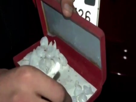 Paytaxtın Nəsimi rayonunda narkotik vasitələrin onlayn yolla satışını həyata keçirən şəxs saxlanılıb