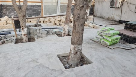 Tikinti aparılan ərazidəki ağaclar sayılaraq nəzarətə götürülüb
