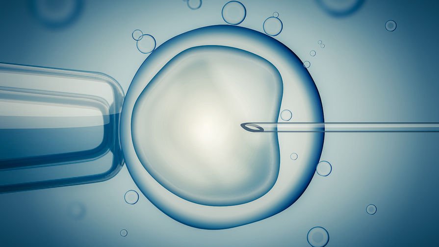 Bioloqlar IVF zamanı koronavirusun yumurta və embrionlara təsirinə dair dəlil tapmayıblar