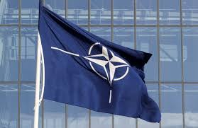 NATO-nun Vilnüsdə keçiriləcək sammitindən gözləntilər barədə danışıldı -