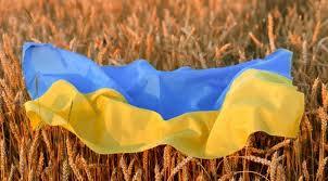Ukrayna taxılının ixracı yolları müzakirə ediləcək -