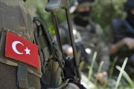 PKK terror təşkilatının önəmli şəxslərindən biri məhv edildi -