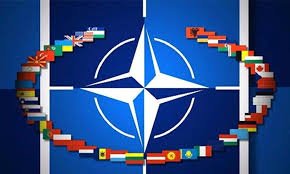 Serbiyanın NATO ilə koordinasiyalı fəaliyyəti əhəmiyyətlidir -