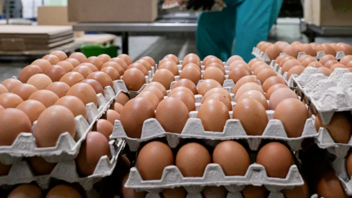 Yanvarın 19-dək Azərbaycan Rusiyaya 3 milyon yumurta tədarük edib