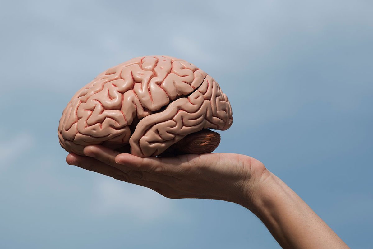Neyroloqlar insan beyninin qədim hissəsində mühüm funksiya aşkar ediblər