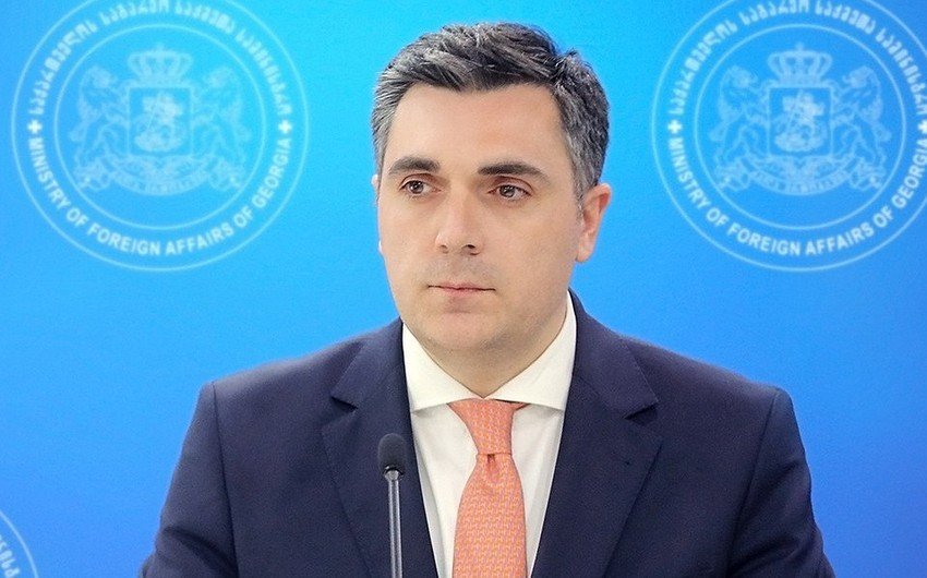 İlya Darçiaşvili: Gürcüstan Azərbaycanla tərəfdaşlığı yüksək qiymətləndirir