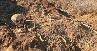 İnsan skeletinə bənzər sümük fraqmentlərinin aşkar edilməsi faktı ilə bağlı araşdırma aparılır