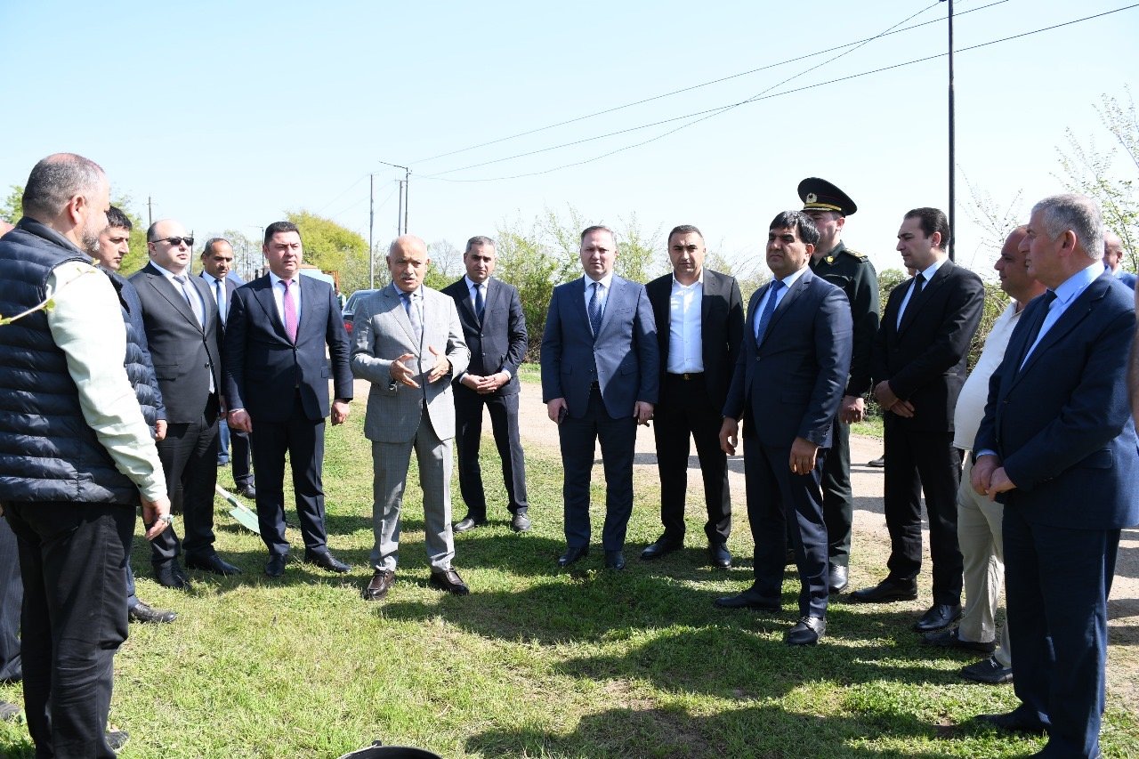 Masallı rayonunun Tüklə ərazisində “Konstitusiya və suverenlik ili” çərçivəsində ağacəkmə aksiyası  keçirildi