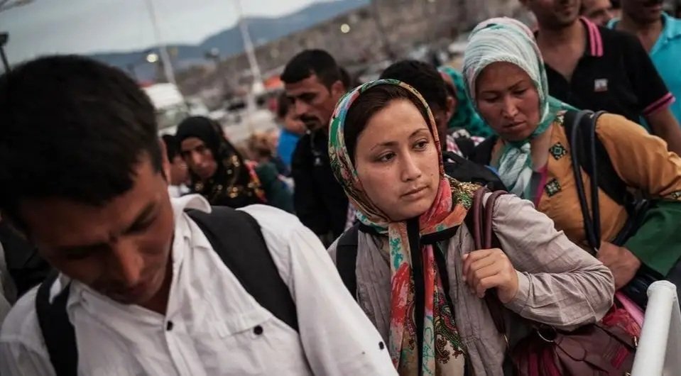 Almaniya BMT xətti ilə qaçqın qəbulunu müvəqqəti dayandırıb