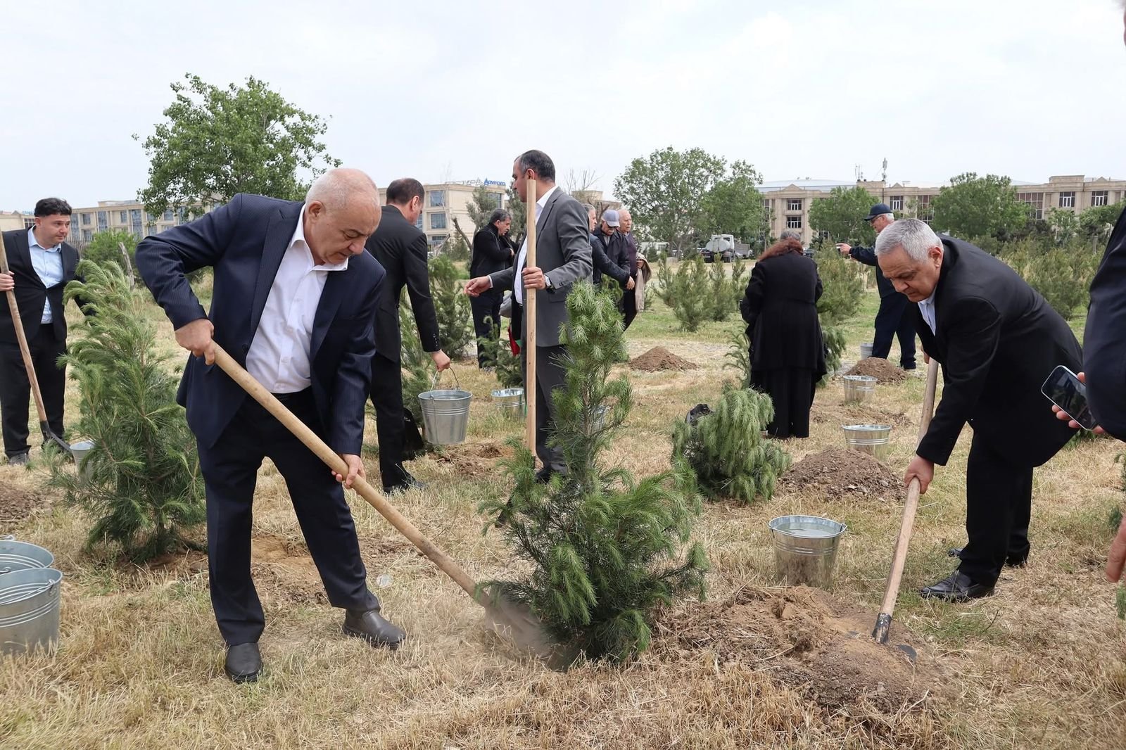 Nərimanov rayonunda ağacəkmə aksiyası keçirilib.