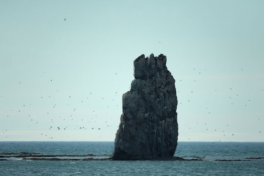 Alimlər Novaya Zemlyada radioaktivliyin artımını qeydə alıblar