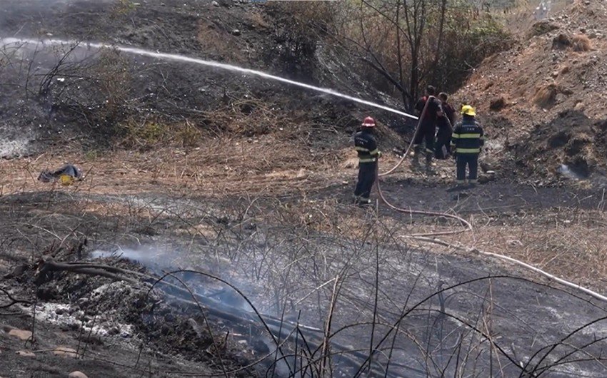 FHN və DİN yanğın təhlükəsizliyi ilə bağlı birgə çağırış edib