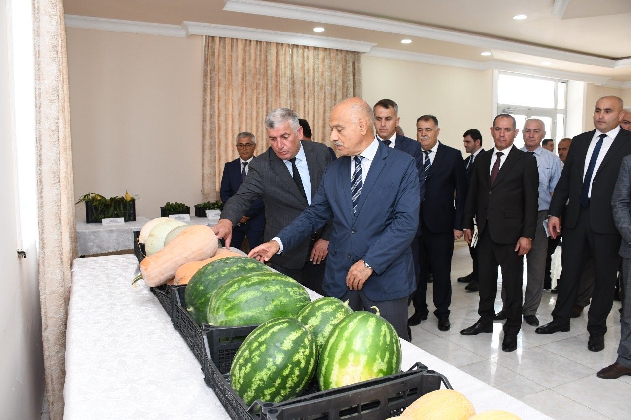 Masallıda “Tərəvəz və çəltik əkin sahələrində görülmüş işlər və qarşıda duran vəzifələr” mövzusunda müşavirə keçirildi