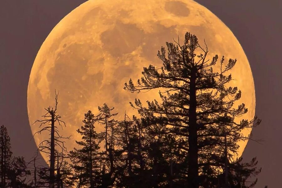 Astronomlar 2025-ci ilin "ən gözəl" Aylarından birini necə qaçırmamağı izah etdilər