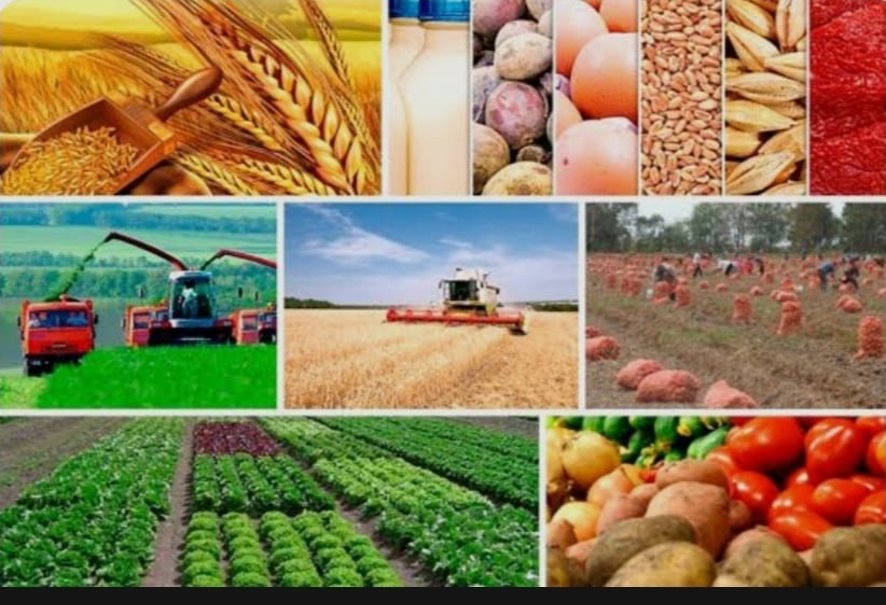 Füzuli rayonunda 2025-ci ilin 01 oktyabr tarixinə kənd təsərrüfatının cari  vəziyyəti haqqında statistik məlumat