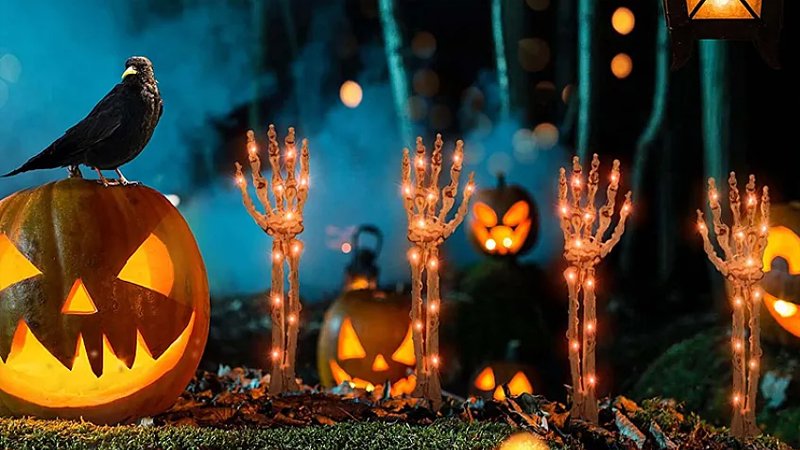 Azərbaycanda “Halloween” məhsulları neçəyədir? - QİYMƏTLƏR