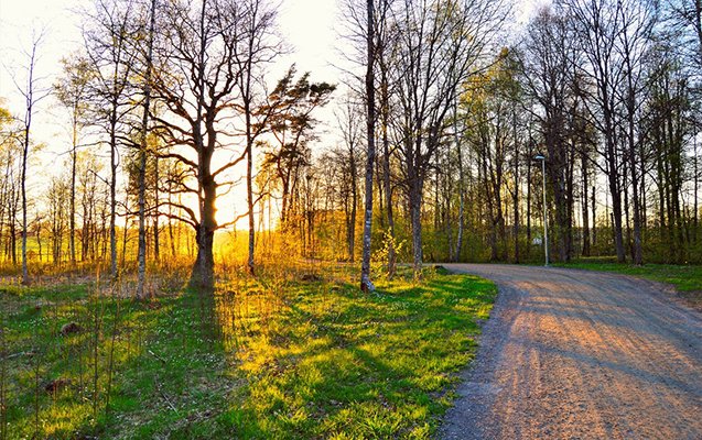 Bazar gününün havası açıqlanıb