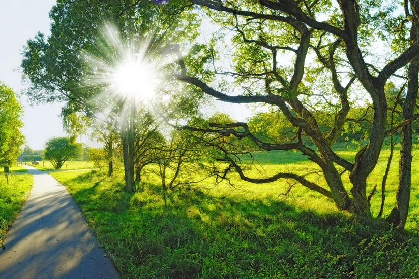 Sabah 24 dərəcə isti olacaq - PROQNOZ