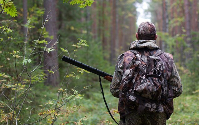 Bu gündən ölkə ərazisində ov qadağan edildi