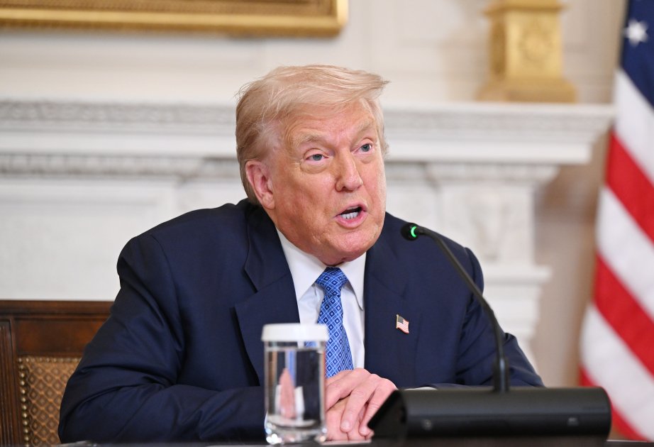 Donald Tramp: “Danimarka Qrinlandı müdafiə etmək gücündə deyil”