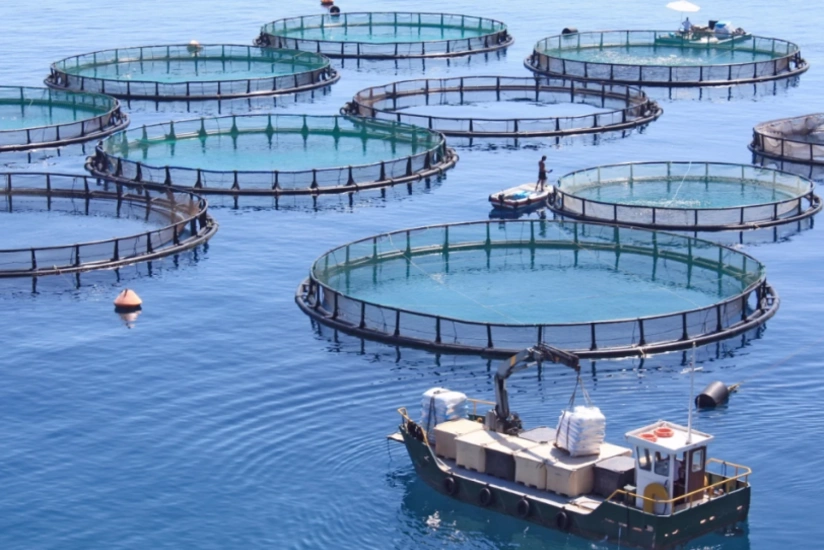 Azərbaycanda akvakultura təsərrüfatlarına aid torpağın kateqoriyasını dəyişdirmək tələb olunmayacaq