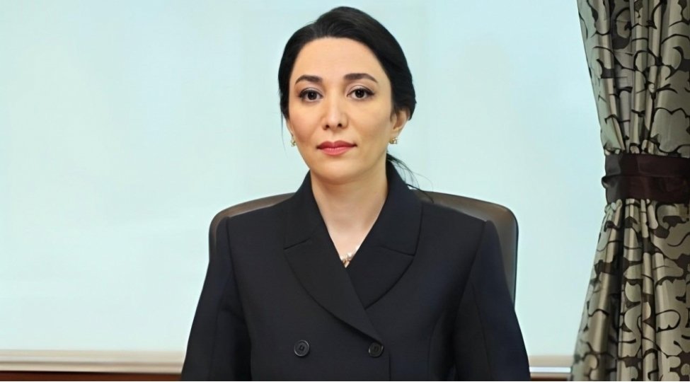 Ombudsman gənclərə müraciət edib