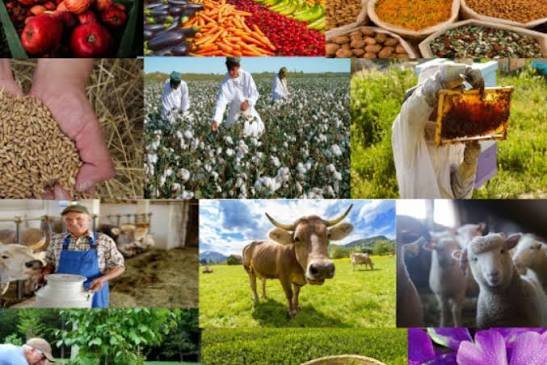 Gədəbəy rayonu üzrə kənd təsərrüfatı haqqında məlumat