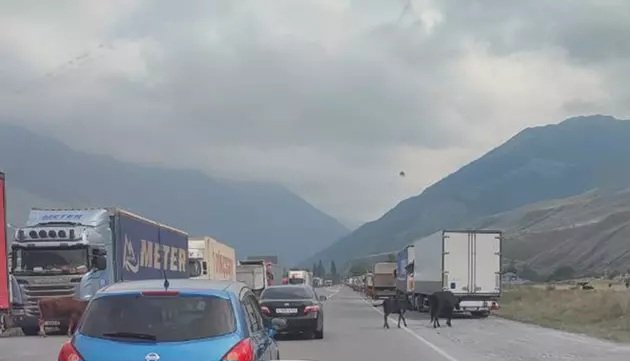 Qazaxıstan Azərbaycan, Türkiyə və Qırğızıstanla elektron nəqliyyat icazələri sistemini tətbiq etdi