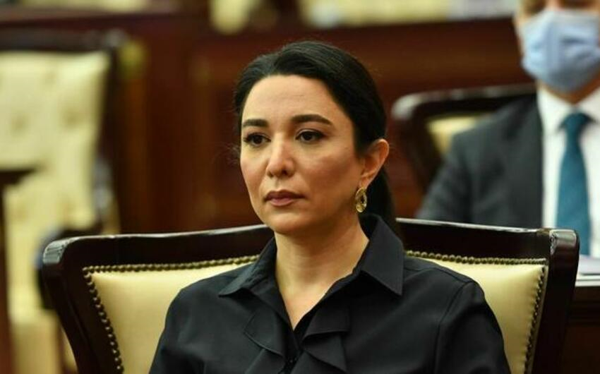 Səbinə Əliyeva: "Güclü audit sistemi korrupsiya risklərinin azaldılmasına töhfə verir"