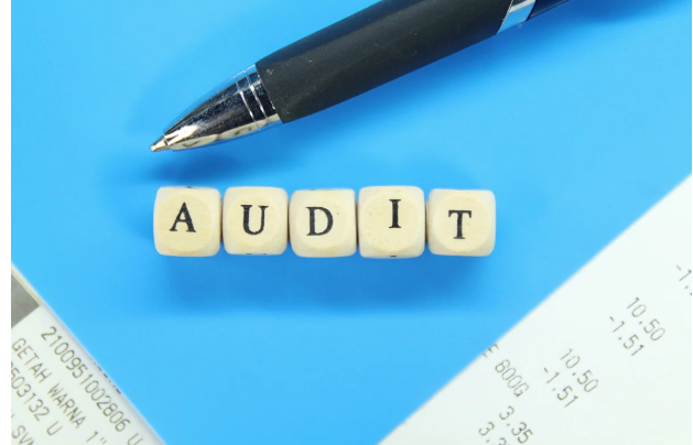 Dövlət Məşğulluq Agentliyi auditor seçir