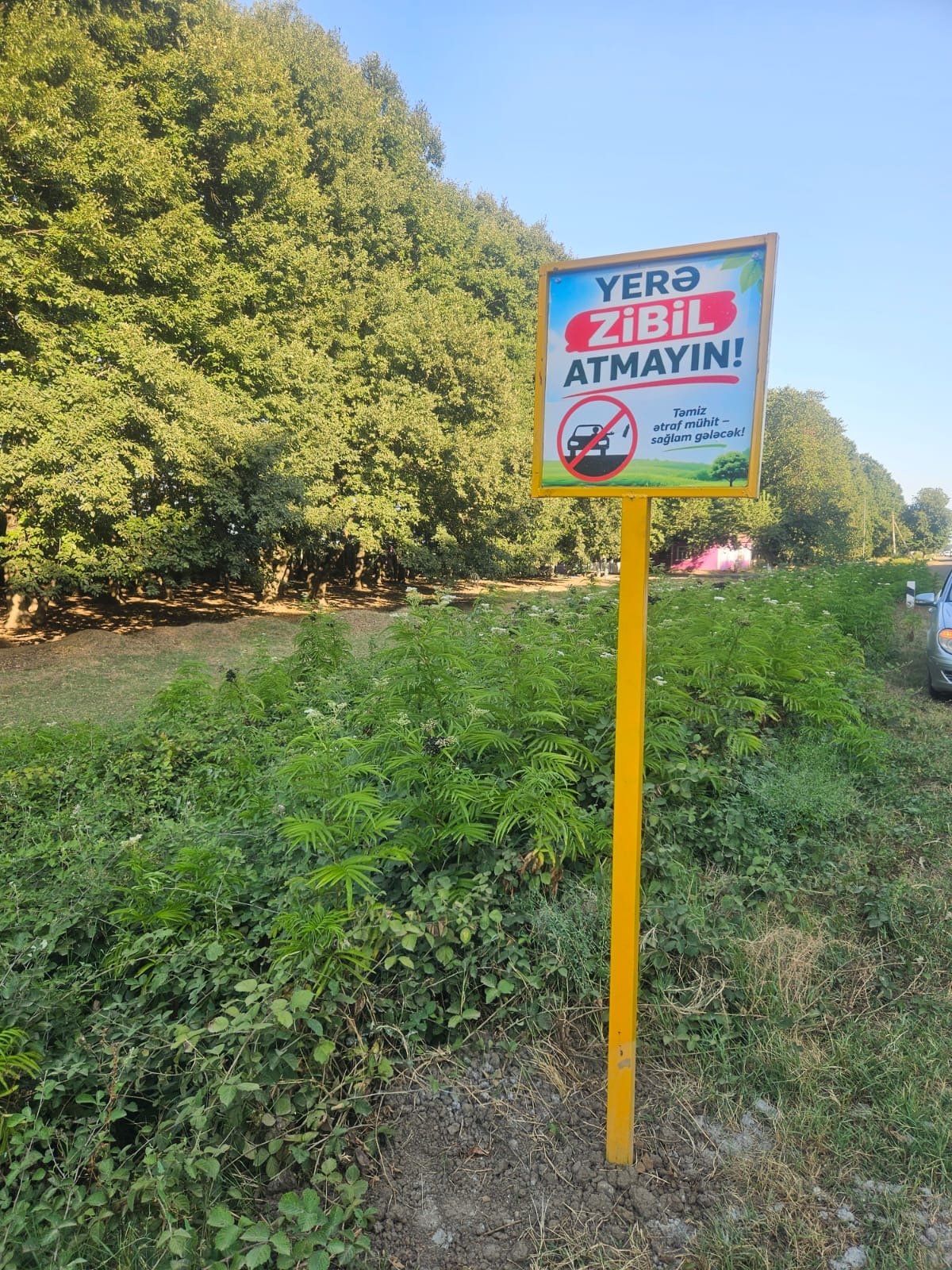 Masallıda ətraf mühitin qorunması ilə bağlı maarifləndirici lövhələr quraşdırılıb