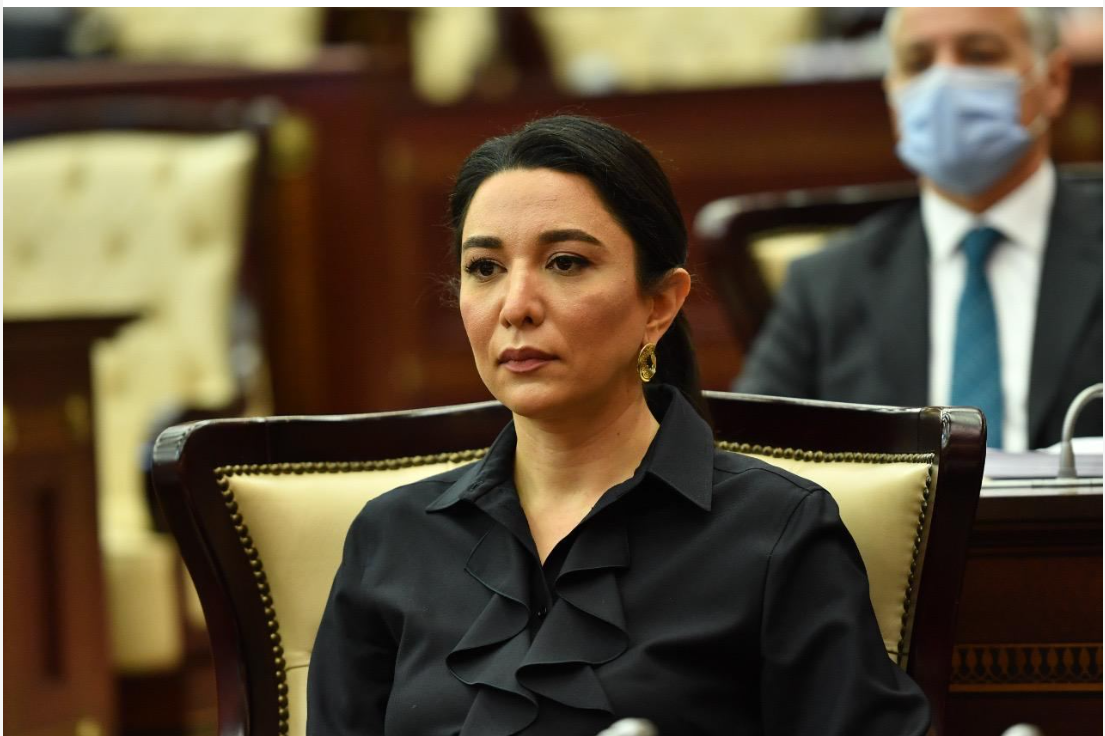 Səbinə Əliyeva: Ermənistanlı hüquq müdafiəçisinin iddiaları əsassız və qərəzlidir