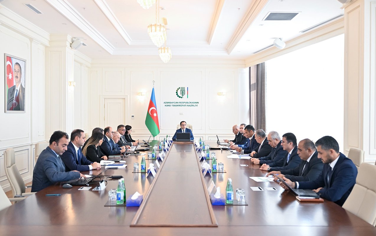 Aqrar sahədə dövlət dəstəyi genişləndirilir: yeni subsidiya və güzəştlər