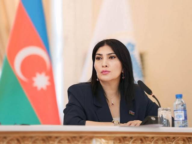 Birliyin gücü, gələcəyin strategiyası: Türk dünyası yeni mərhələdə