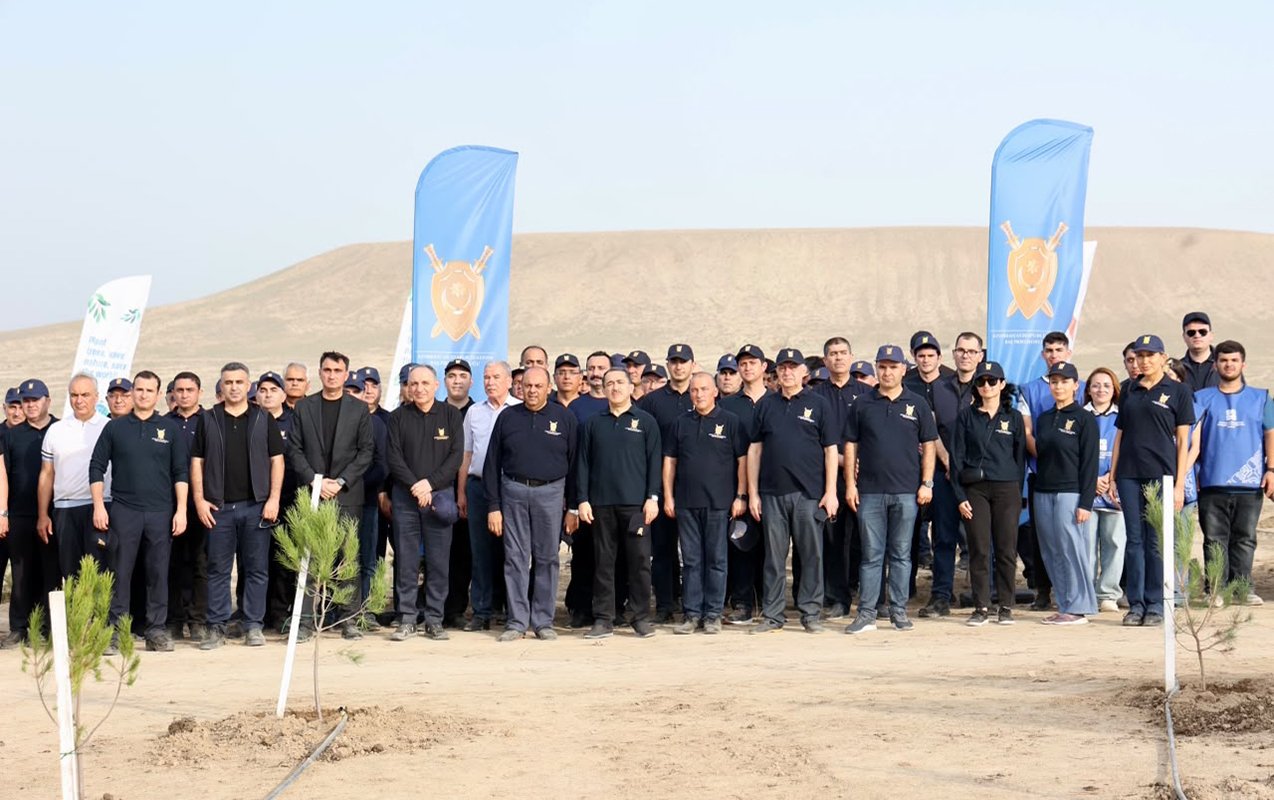 Prokurorluq əməkdaşları ağac əkib