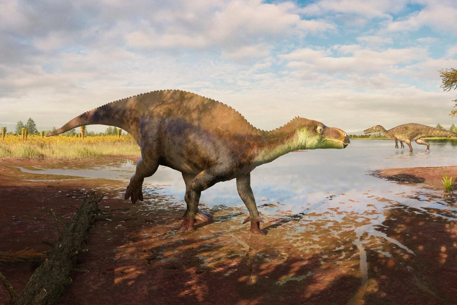 İngiltərədə 25 il əvvəl tapılan dinozavr yeni cins kimi təsvir edilib