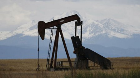 Запасы нефти в США за неделю выросли до рекордного уровня