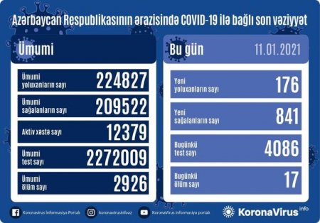 В Азербайджане выявлено 176 новых случаев инфицирования коронавирусом, скончались 17 человек - ФОТО