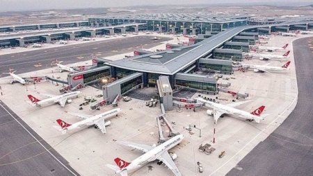 Аэропорт Стамбула атаковала стая саранчи