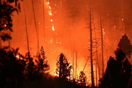 Около 30 000 человек эвакуировали в Калифорнии из-за лесного пожара