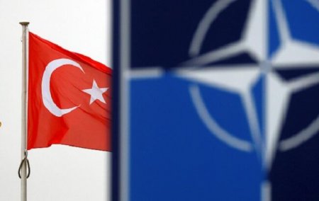 В Германии назвали слабое место НАТО