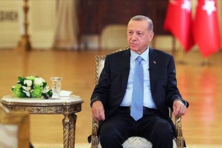 Эрдоган: Мы примем необходимые решения в отношении стран, закрывающих свои консульства в Стамбуле