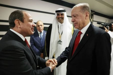 Президенты Турции и Египта в ходе телефонного разговора договорились обменяться послами