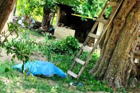 В Мингячевире скончался мужчина, получивший травму в результате падения с дерева