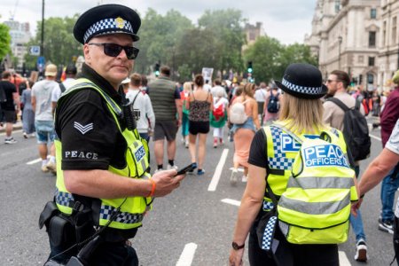 На карнавале в Лондоне покусали шестерых полицейских, еще одного пытались изнасиловать