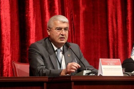 Турецкий профессор назвал победу Азербайджана в Карабахе ключевой для тюркского мира