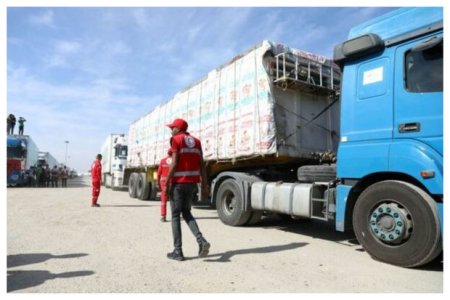 Колонна грузовиков с гуманитарной помощью для жителей Газы проследовала в палестинский анклав